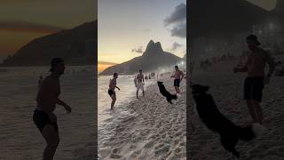 In Brazil, The Dogs Play Football Too