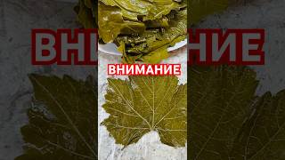 АРМЯНСКАЯ ТОЛМА В ВИНОГРАДНЫХ ЛИСТЬЯХ. ТЫ СМОЖЕШЬ ❣️