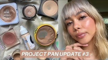 Project Pan Update #3