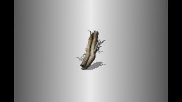 DS2 forest of fallen giants jump