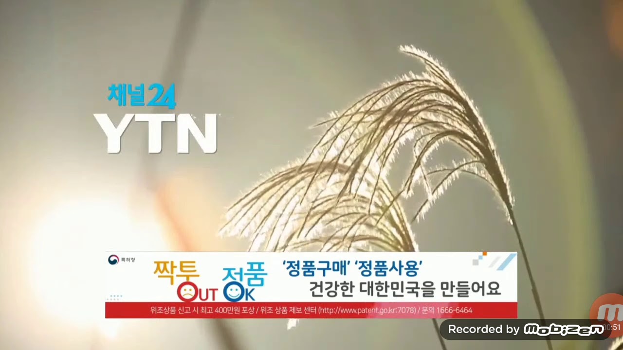 YTN - 나무위키