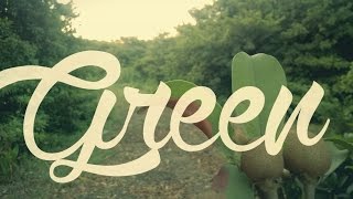 Devashish Gupta - Green Official Video