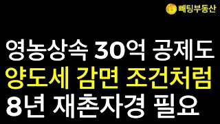 부동산 📌영농상속 30억 공제도 양도세 감면 조건처럼 8년 재촌자경 필요