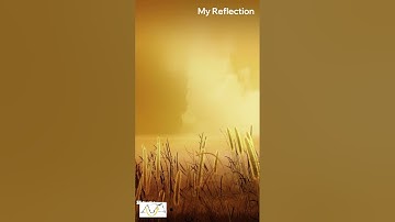 Reflection on Theory U: U-Lab Transforming Self, Business & Society