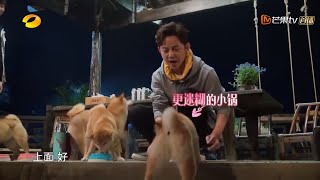 何炅投食被围上演“喂狗大战”《向往的生活3》Back To Field S3【湖南卫视官方HD】