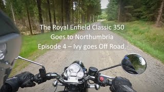 The Royal Enfield Classic 350 Goes to Northumbria Episode 4 – Ivy goes Off Road