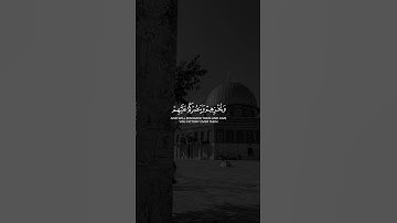 قَٰتِلُوهُمْ يُعَذِّبْهُمُ ٱللَّهُ بِأَيْدِيكُمْ🤍| ماهر المعيقلي | سورة التوبة