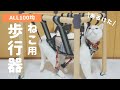 100均素材だけで猫用歩行器を作ってみた!