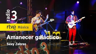 Video voorbeeld van "Sexy Zebras - “Amanecer galáctico” | Conciertos de Radio 3 (2022)"