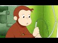 Curious George 🐵George's Simple Siphon 🐵Cartoons For Kids | WildBrain Cartoons