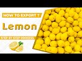 How to export lemon a to z information  lemon export import business  by paresh solanki