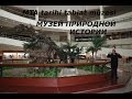 Экспозиция растений и животных Турции в музее природной истории) tabiat tarihi müzesi