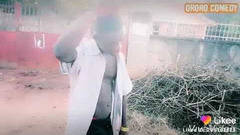 Ororo Comedy Oil Boyz