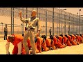 Prisoners Attached Together Through Their Digestive System By Crazy Warden |Human Centipede 3| Film