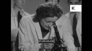 1930s, 1940s UK,  Scientists Researching Bacteria Transmission, Microscope