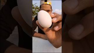 Crazy Experiment with Egg 🥚 #shorts #youtubeshorts #viral