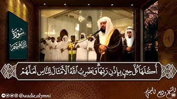 الشيخ وديع اليمني - من أجمل ليالي رمضان 🌙 ؛ تلاوة خاشعة لما تيسر من سورة ابراهيم