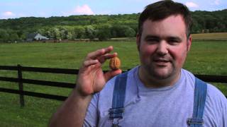 Dick's Nuts - Family Farm of Nuts - Where we're not just Dick's, we're Nuts.