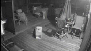 Smart Raccoon Escapes Trap