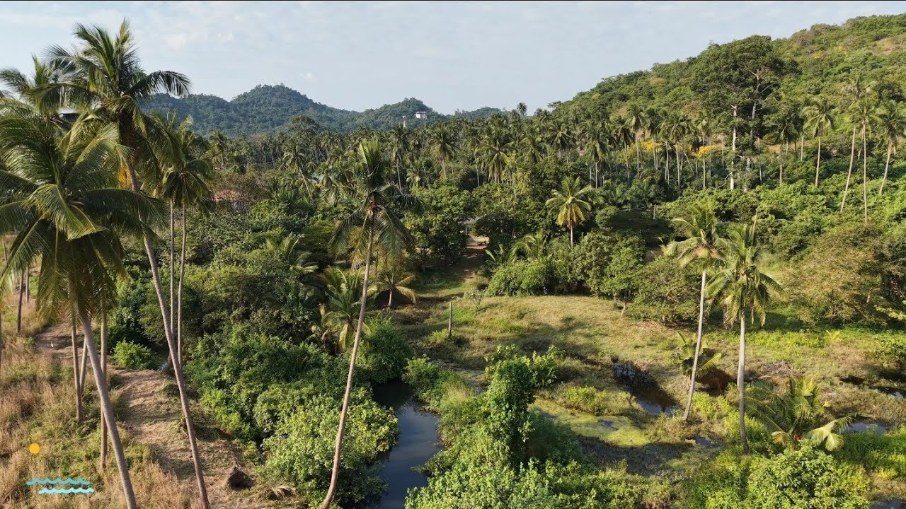 THAILAND - Koh Samui - Coral Harbor Pier - Drone 4K DJI Mini 5 Pro - 2026 