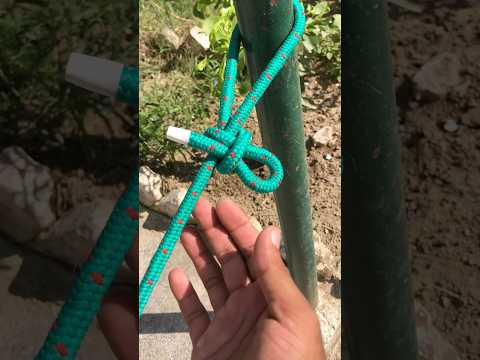 One Most Useful