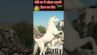 Ghodey Ki Shaanadaar Salaami Tajuddin Baba Urs