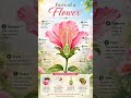 Parts of Flower:- With Explanation,☘️☘️🌹🌹