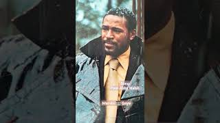 #Marvin Gaye#song from, Troubled Man Album#legends #shorts#Song title: Poor Abby Walsh