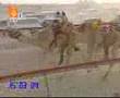 شوده والسيف الثالث على التوالي بدولة قطر
