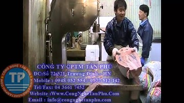 Máy cắt thịt cá đông lạnh tự động,máy thái thịt