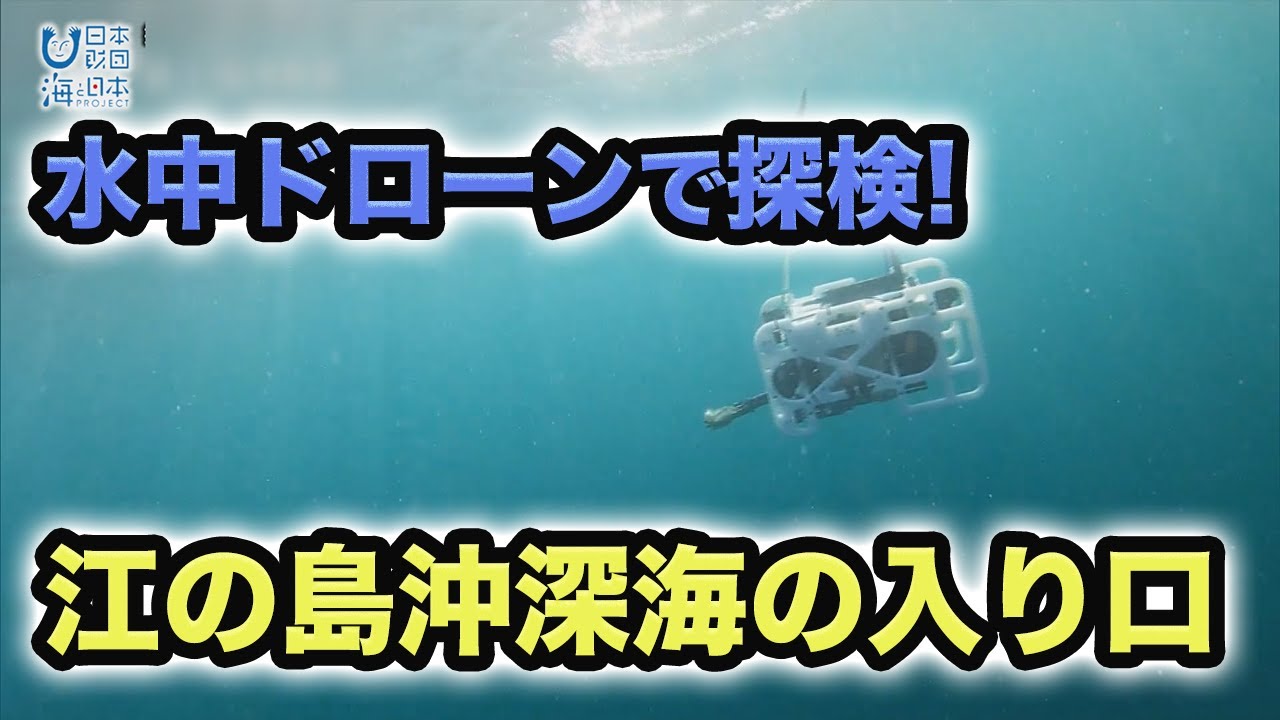 特別企画展「水中ドローンで探検！江の島沖深海の入り口」 日本財団 海