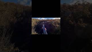 Çulluk Avı 2024 Hd , Wood Hunting 2024 , Caccia Alla Beccaccia 2024 Hd, Che Aux Cailles 2024