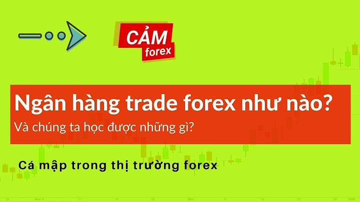 Top ngân hàng thương mại quốc tế trong forex năm 2024