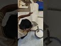 #Wall Paper on Wall Area#Wall paper Process#How to Paste wall paper On wall#shortsvideo #shorts