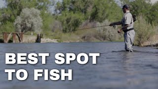 Catch More Fish in Colorado Springs Expert Tips & Veteran Guide Insights |Living in Colorado Springs