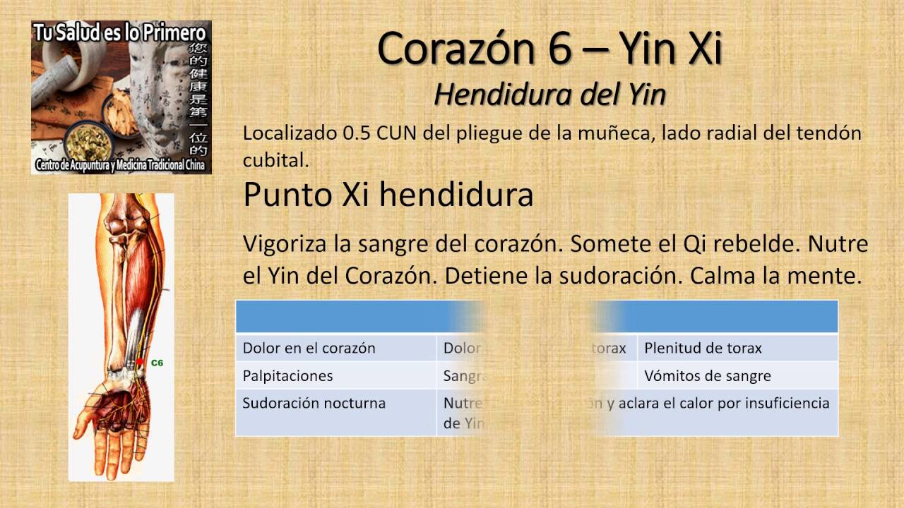 acupuntura que es C6