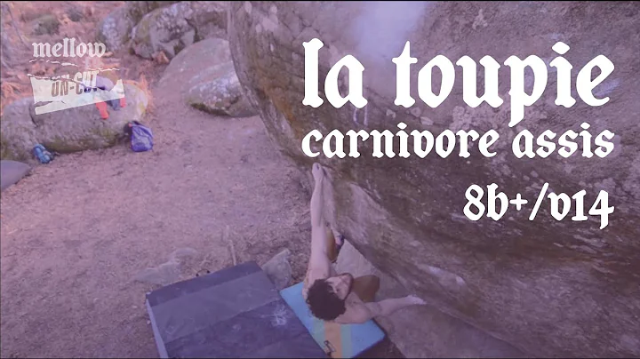 Uncut: La Toupie Carnivore assis (8B+/V14) - Jimmy Webb