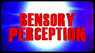 mulpHia -2024- Sensory Perception (official lyric video)