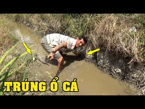 BẮT CÁ TRÚNG