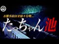 「雨音にまぎれこんだ複数人の声」心霊の噂が多く存在するたっちゃん池に単独潜入！