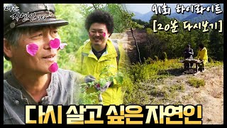 20분 다시보기] '다시 살고 싶은 자연인' 나는 자연인이다 91회 하이라이트, Mbn 140604 방송 - Youtube