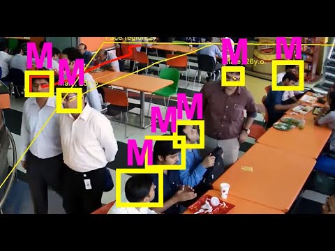 Face detection + gender & age recognition w/ Camlytics software