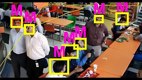 Face detection + gender & age recognition w/ Camlytics software