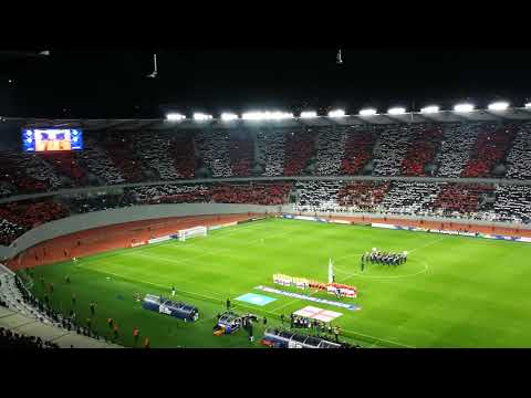 ულამაზესი მოზაიკა დინამოს სტადიონზე