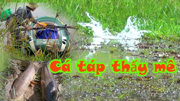 Hành trình săn cá lóc hugo tập 30