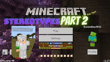 MINECRAFT STEREOTYPES Part 2