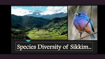 Video Presentation on Sikkim