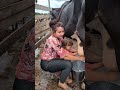 “Before You Judge Me… Know That I Trust My Daughter ❤️🐄” #villagelife