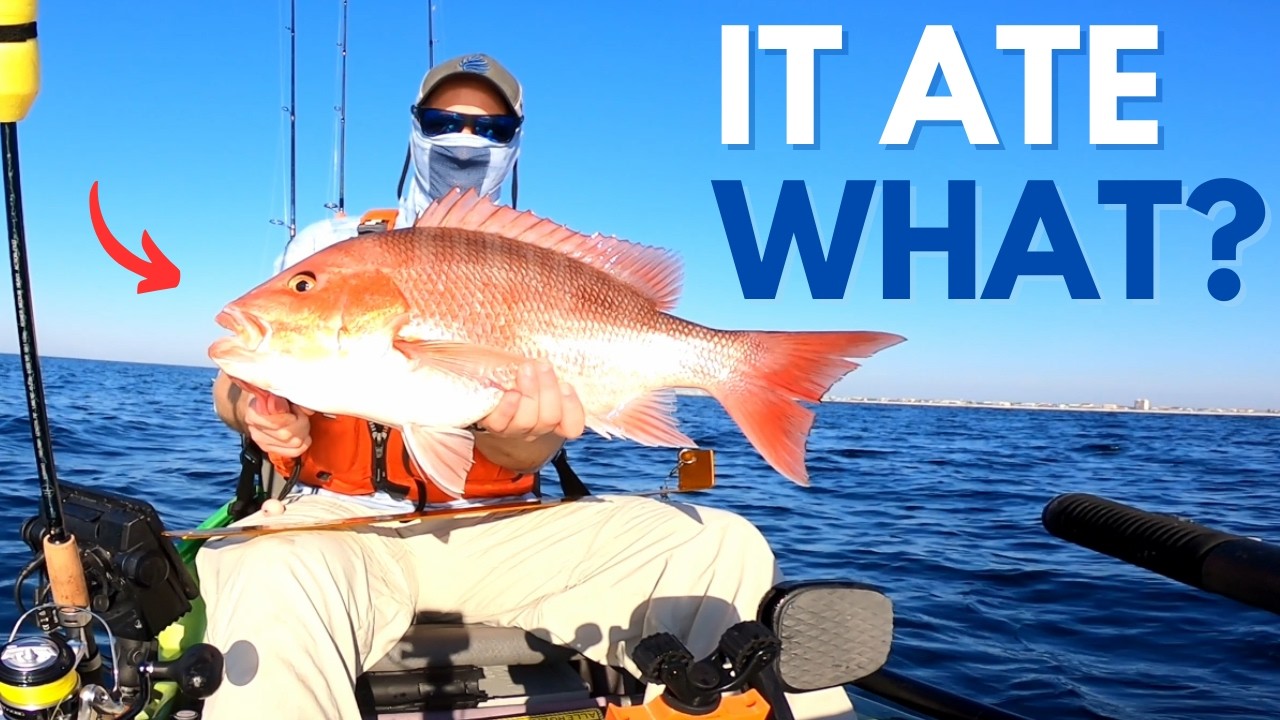 Out of Season Red Snapper Everywhere | Ocean Kayak Fishing