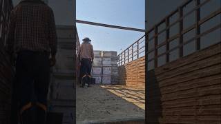 Unloading Bee Hives After Migration | Beekeeper Life 🐝🚛 #farming